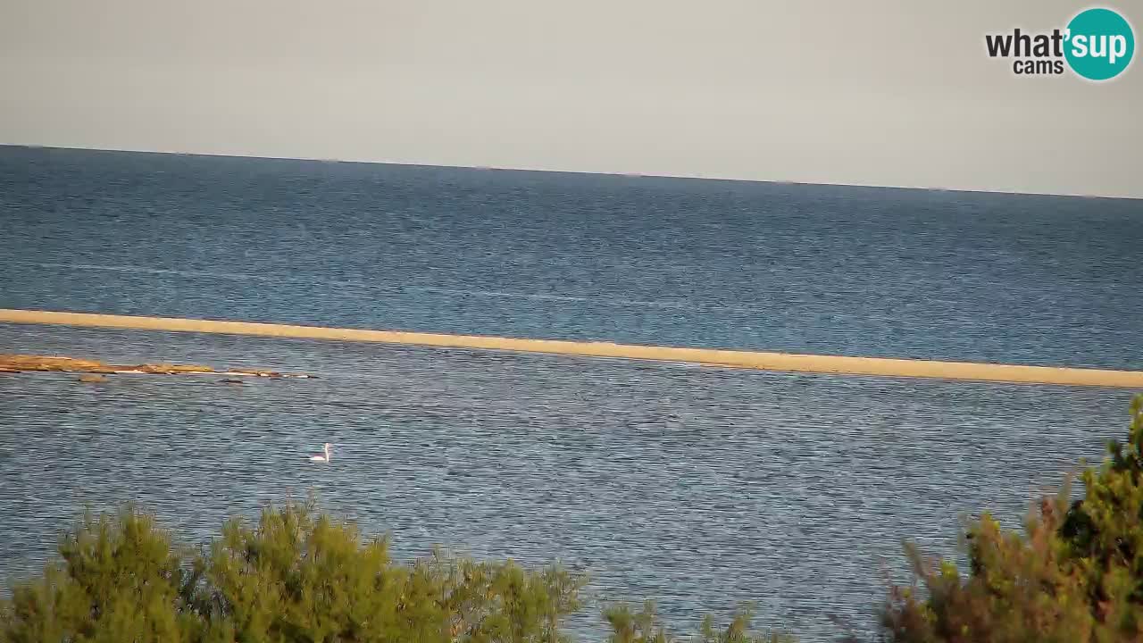 Webcam Chia – Live View of Su Giudeu Beach