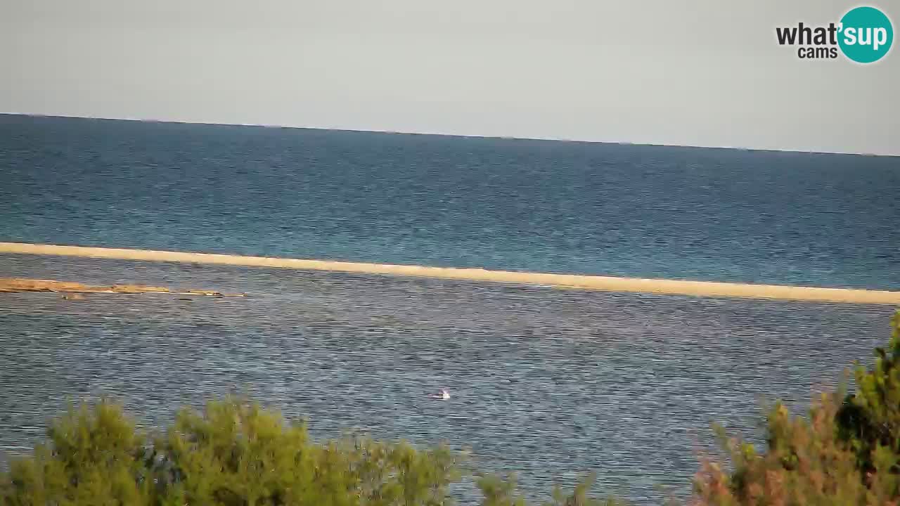 Webcam Chia – Live View of Su Giudeu Beach