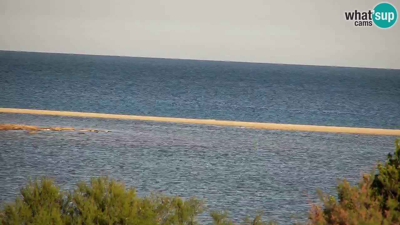 Webcam Chia – Live View of Su Giudeu Beach