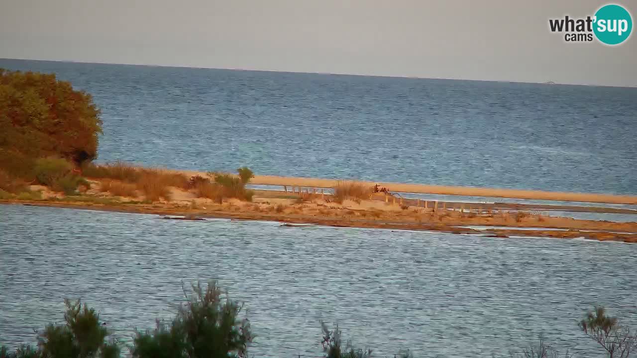 Webcam Chia – Live View of Su Giudeu Beach
