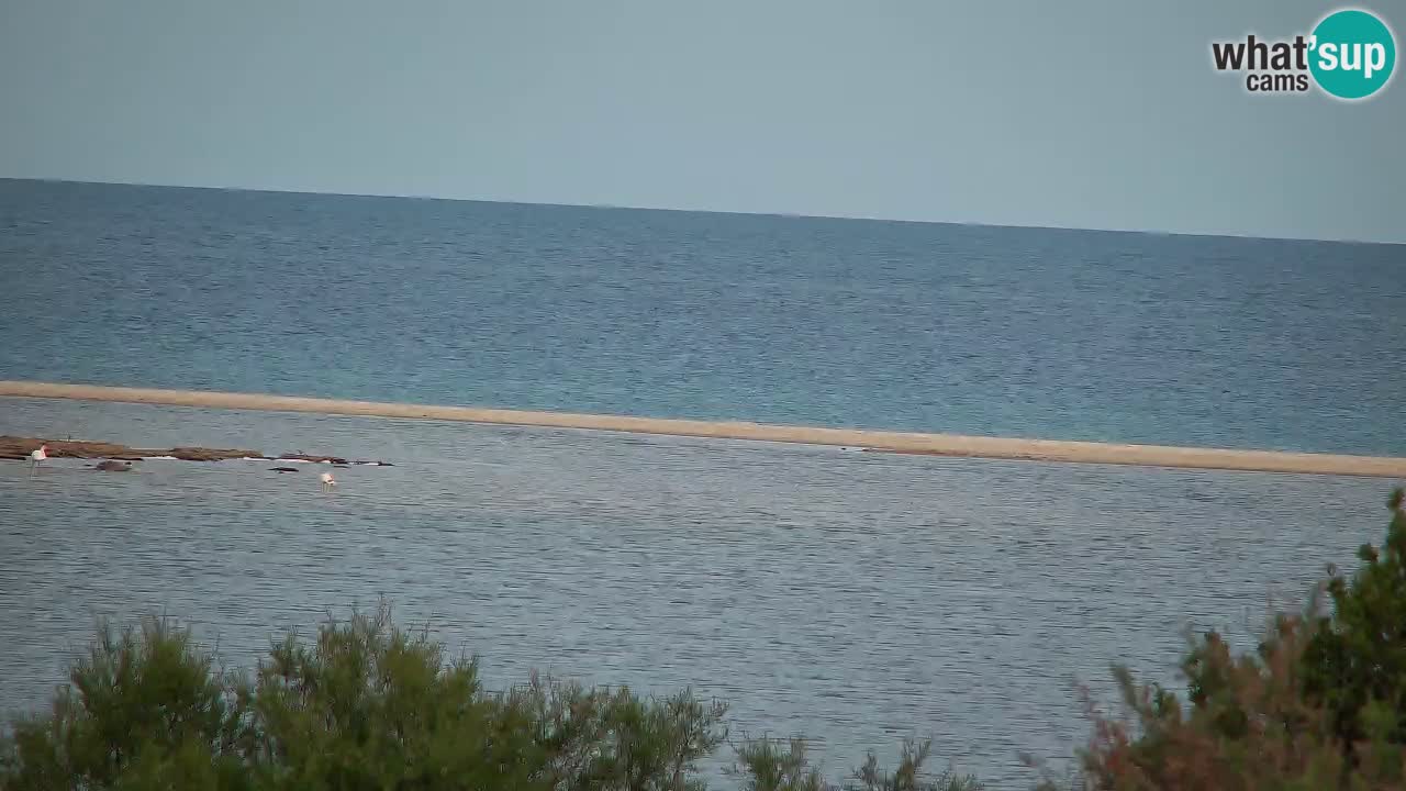 Webcam Chia – Vista en directo de la playa Su Giudeu