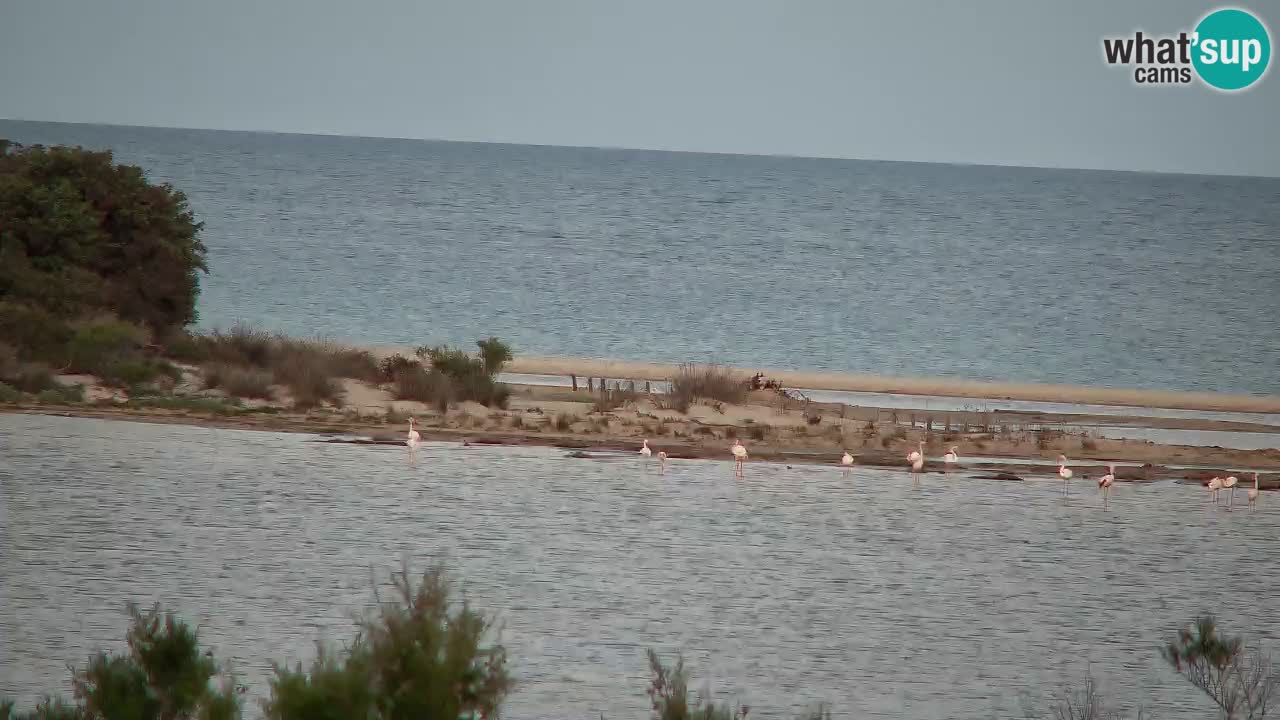 Spletna kamera Chia – Pogled v živo na plažo Su Giudeu