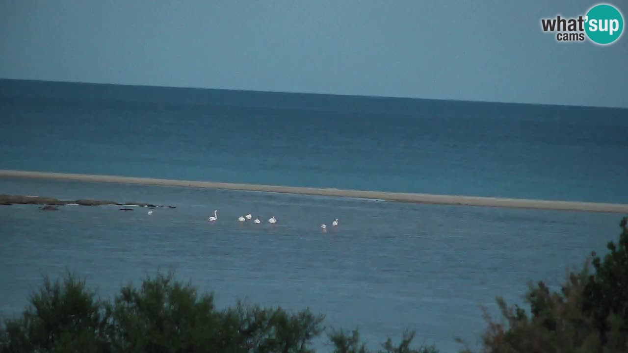 Webcam Chia – Live View of Su Giudeu Beach