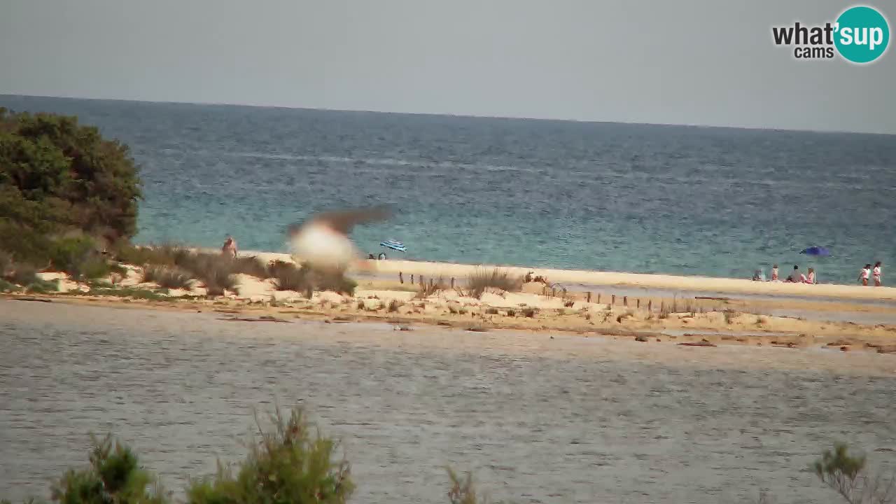 Webcam Chia – Live View of Su Giudeu Beach