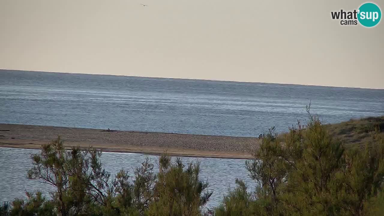 Webcam Chia – Live View of Su Giudeu Beach