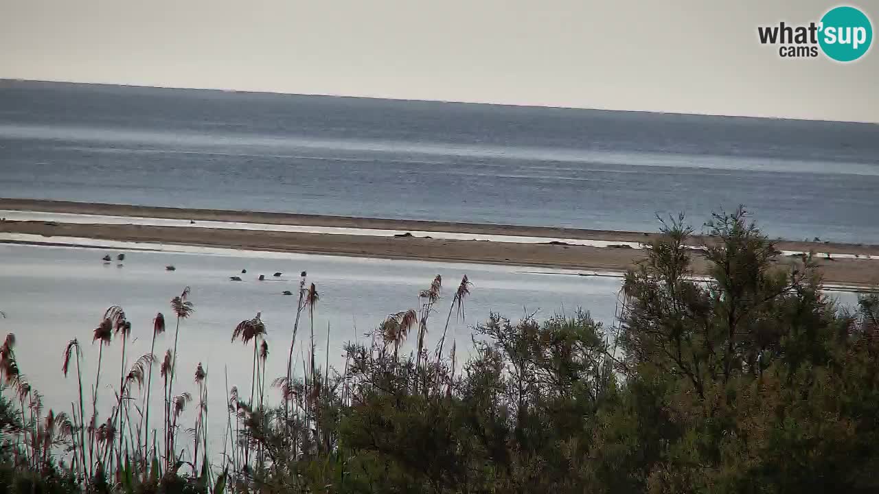 Webcam Chia – Liveblick auf den Strand Su Giudeu