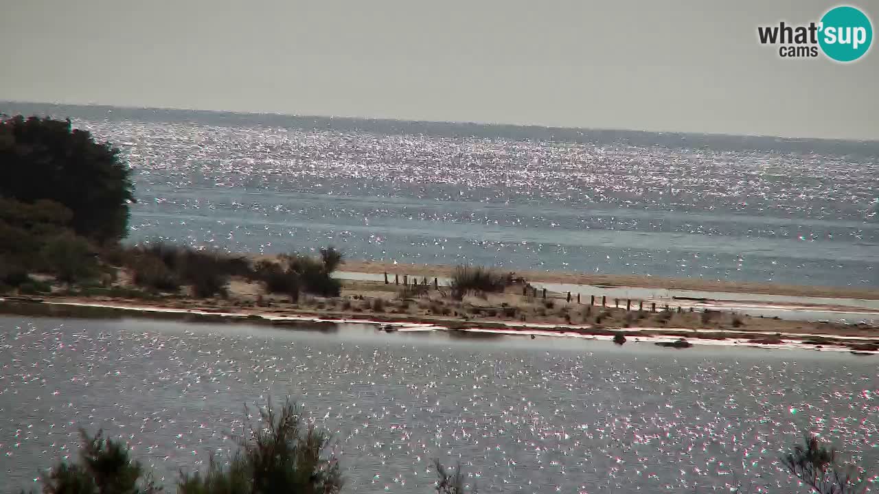 Webcam Chia – Live View of Su Giudeu Beach