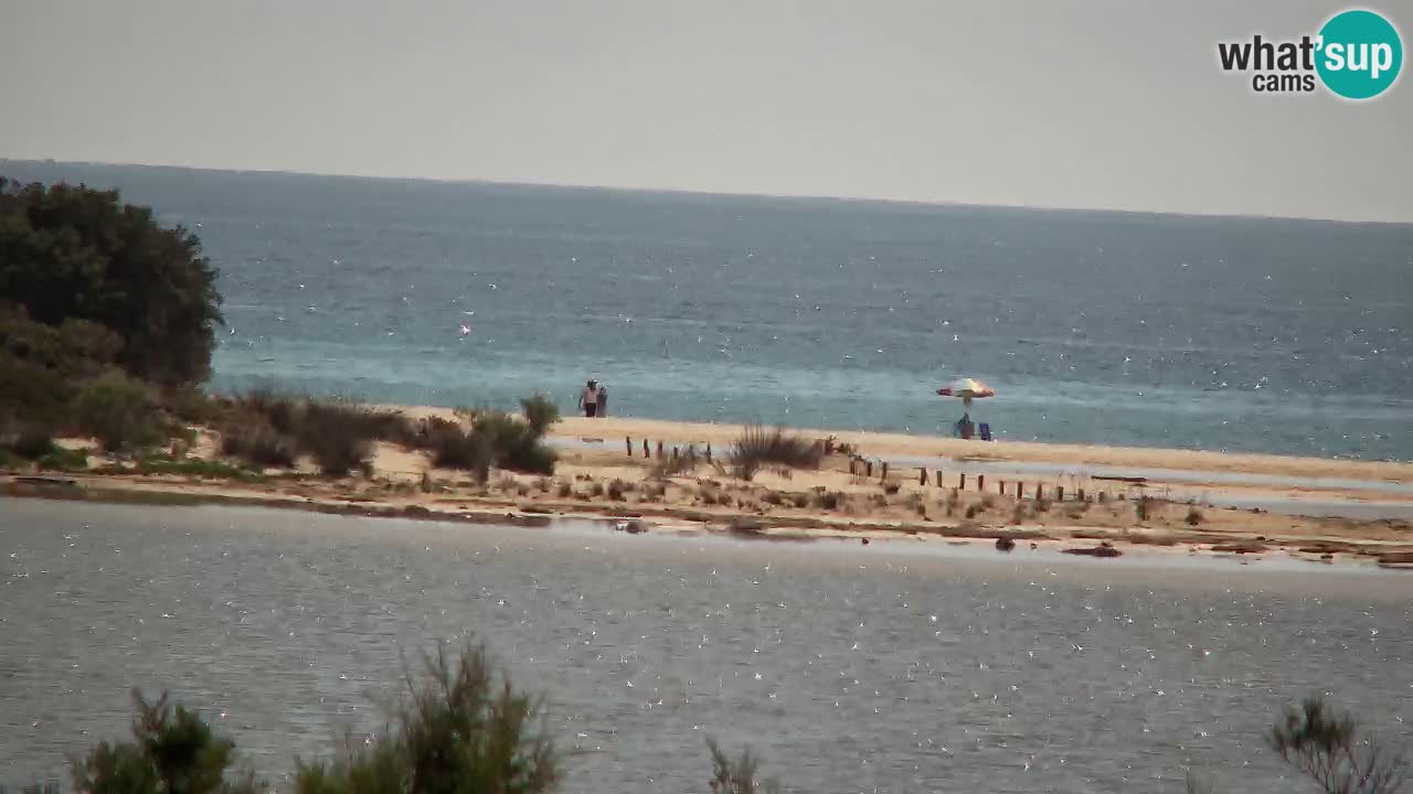 Webcam Chia – Live View of Su Giudeu Beach