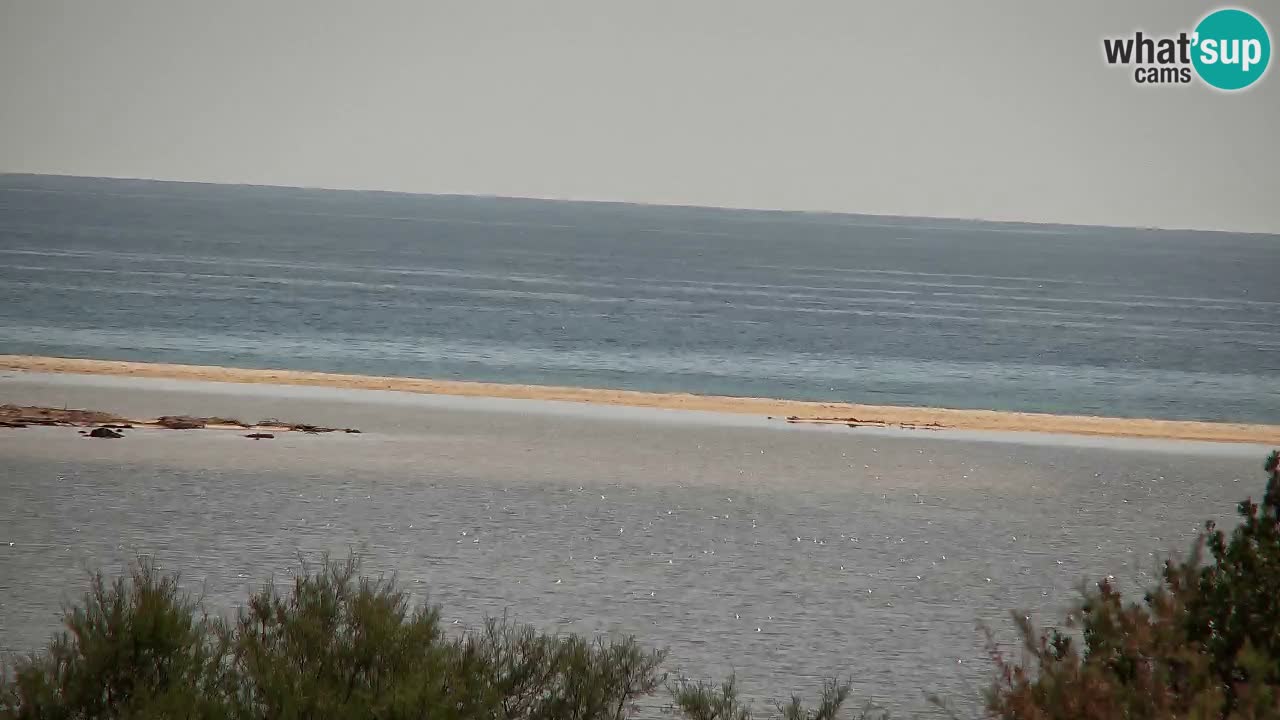 Webcam Chia – Liveblick auf den Strand Su Giudeu