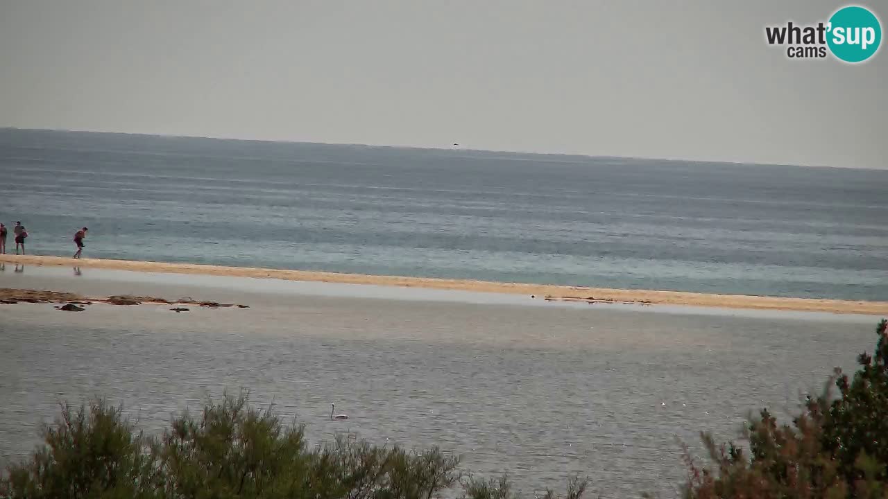 Web kamera Chia – Pogled uživo na plažu Su Giudeu