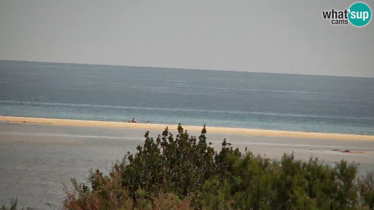 Webcam Chia – Live View of Su Giudeu Beach