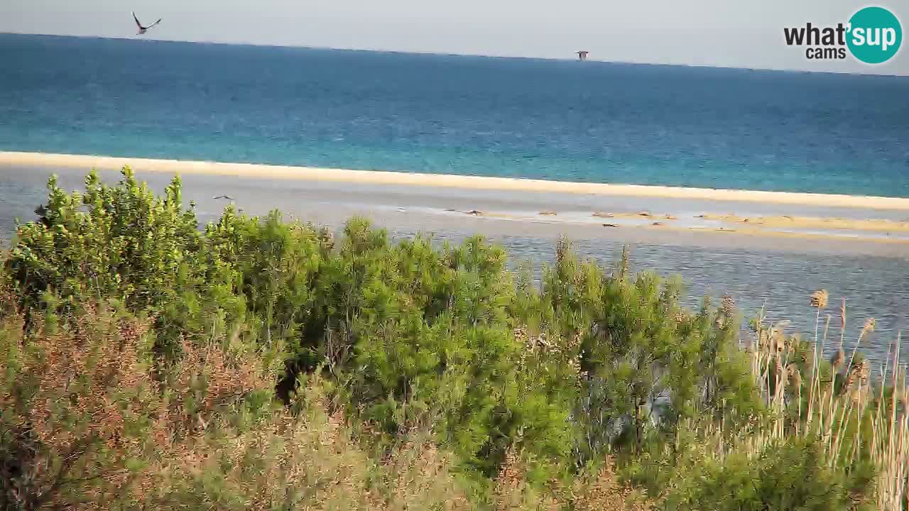 Web kamera Chia – Pogled uživo na plažu Su Giudeu