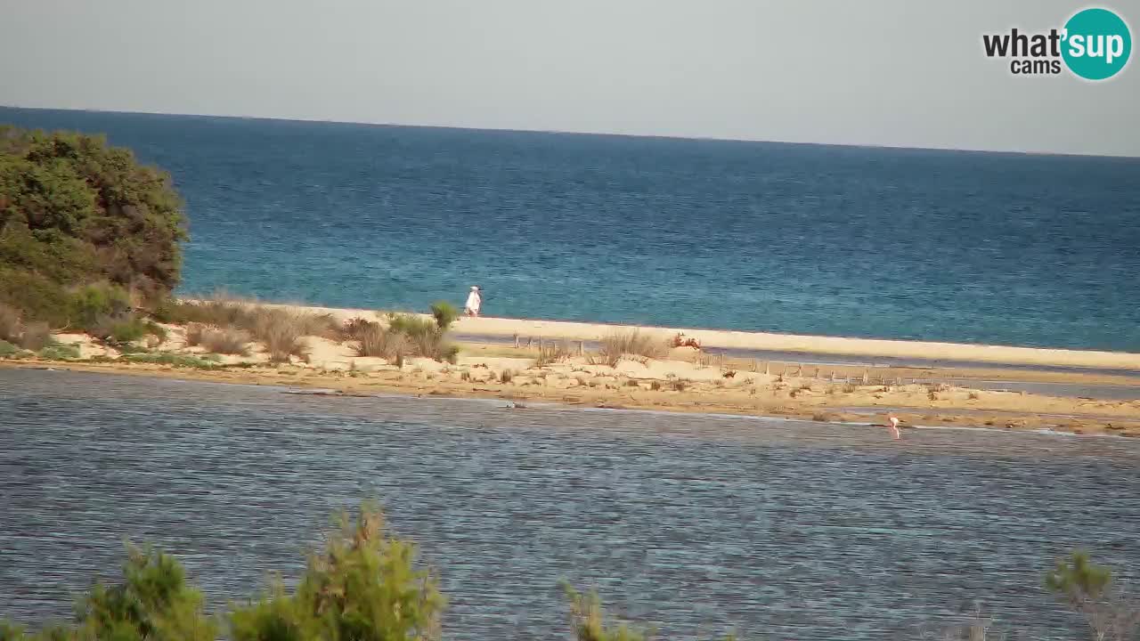 Webcam Chia – Liveblick auf den Strand Su Giudeu