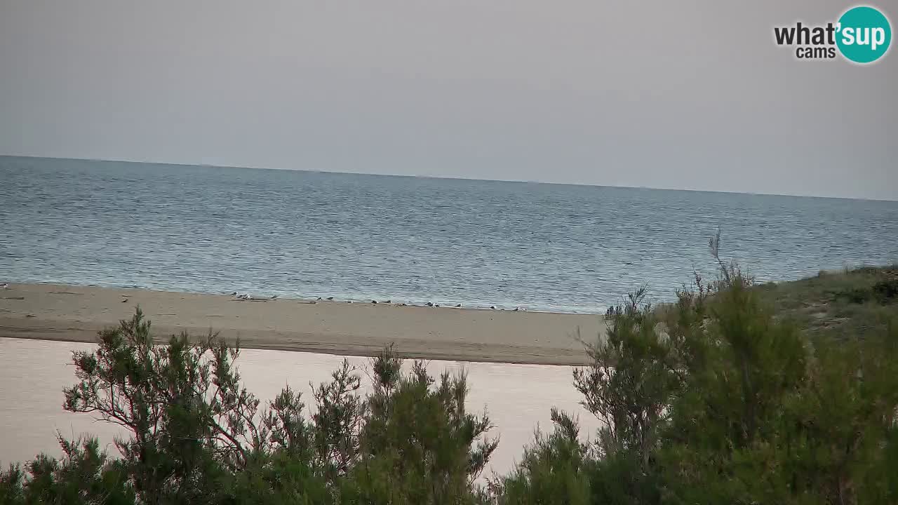 Webcam Chia – Live View of Su Giudeu Beach