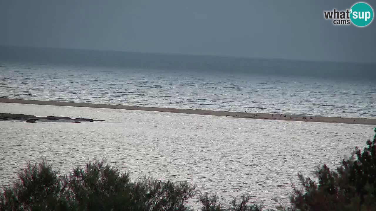 Webcam Chia – Vista en directo de la playa Su Giudeu