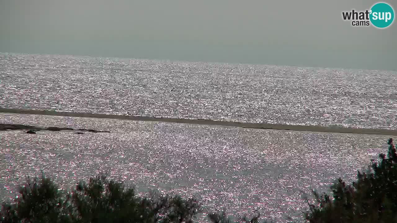Web kamera Chia – Pogled uživo na plažu Su Giudeu