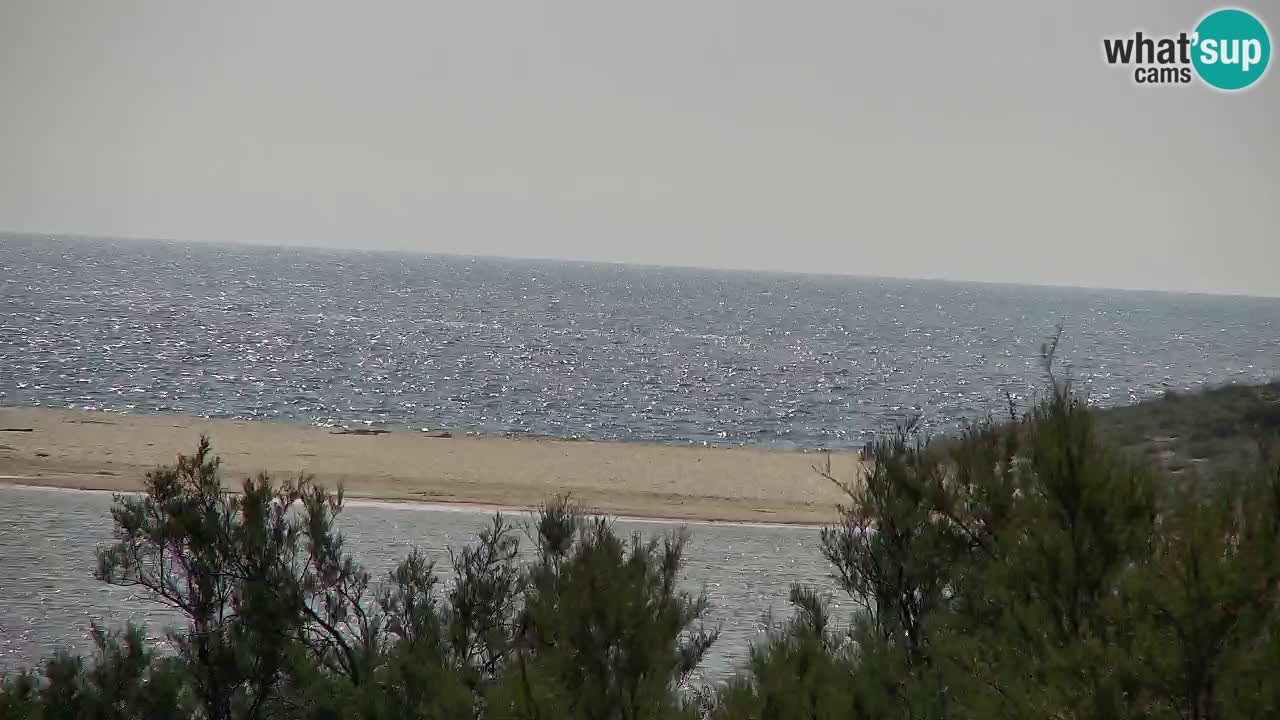 Webcam Chia – Live View of Su Giudeu Beach