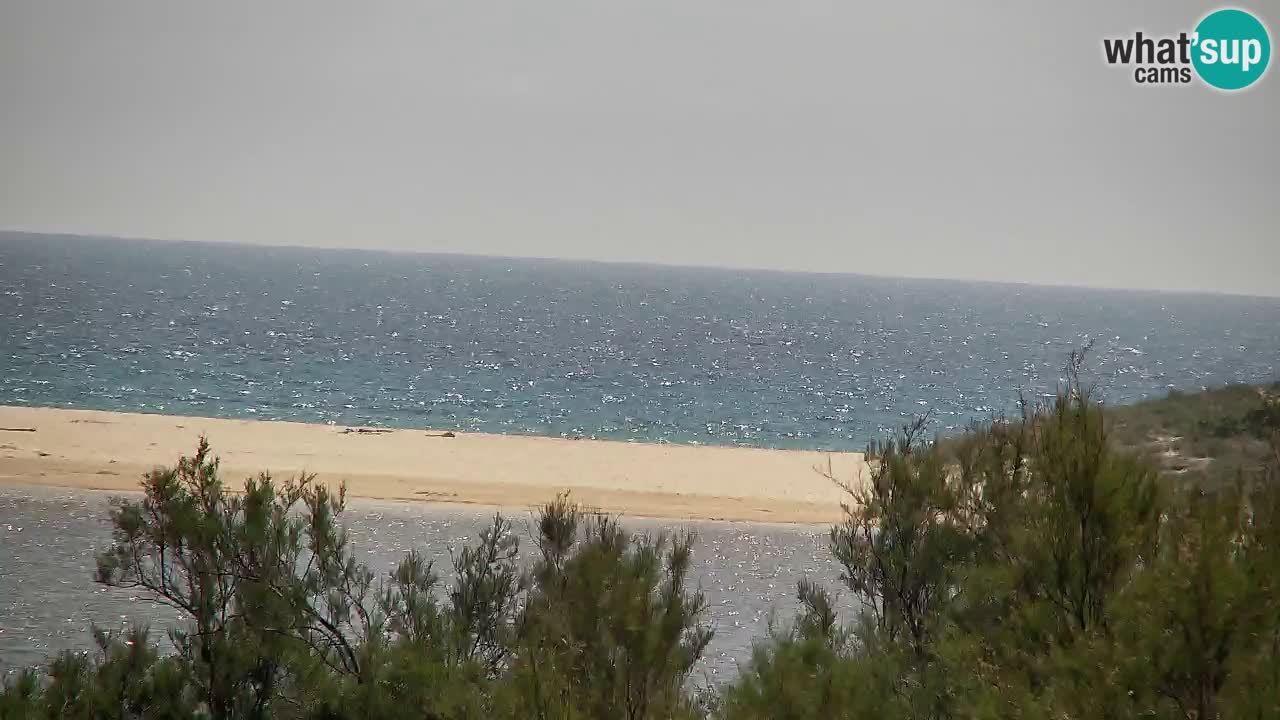 Webcam Chia – Vista en directo de la playa Su Giudeu