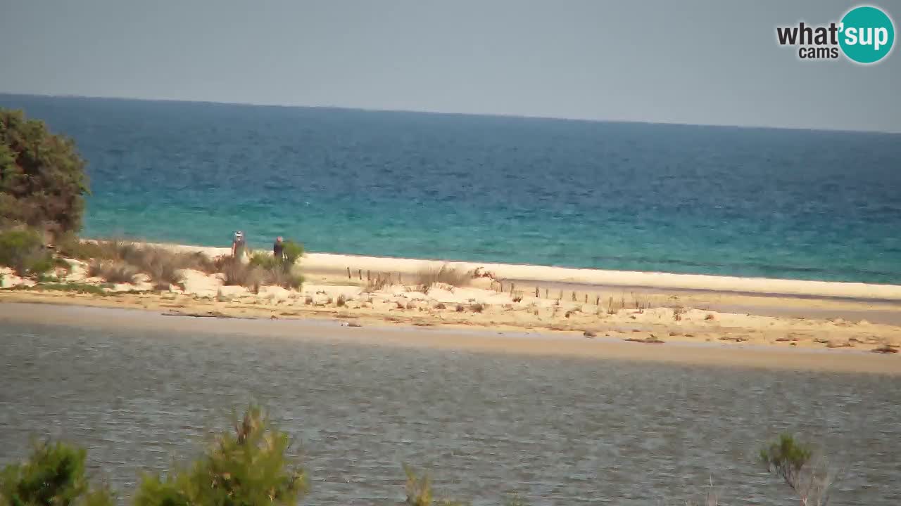 Spletna kamera Chia – Pogled v živo na plažo Su Giudeu