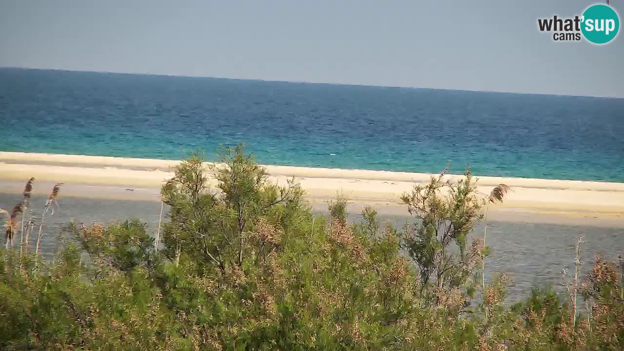 Webcam Chia – Live View of Su Giudeu Beach