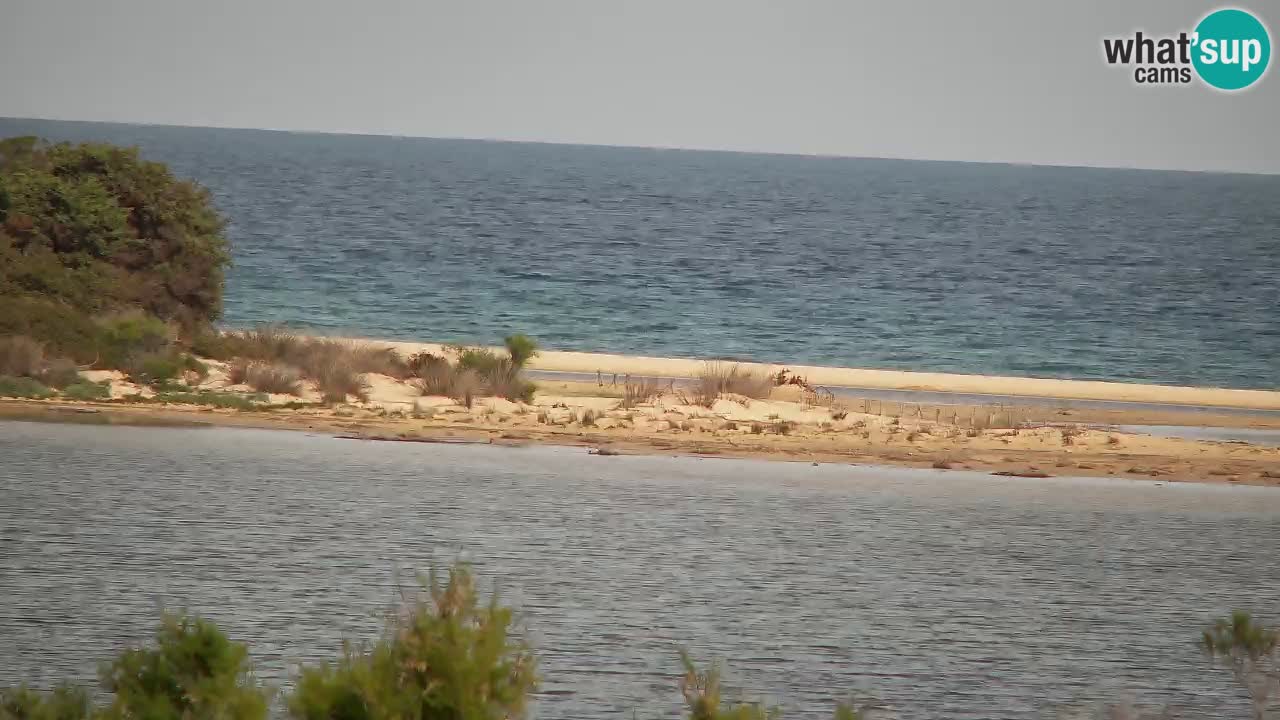 Web kamera Chia – Pogled uživo na plažu Su Giudeu