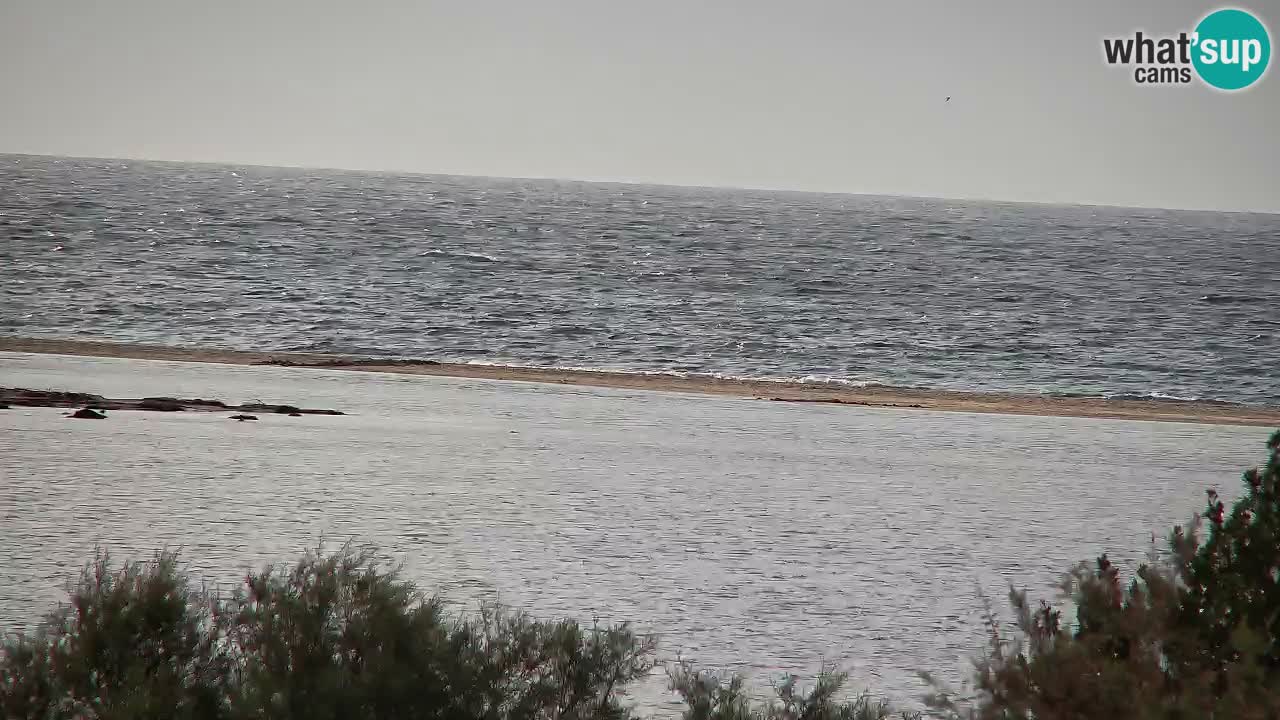 Spletna kamera Chia – Pogled v živo na plažo Su Giudeu