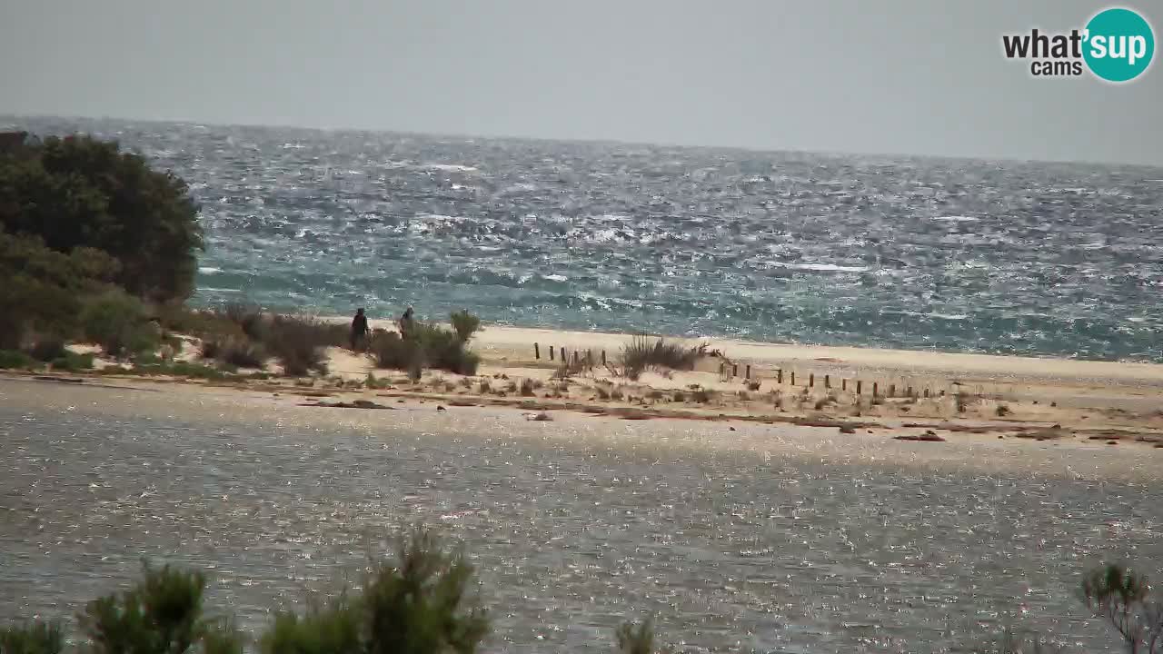 Webcam Chia – Live View of Su Giudeu Beach