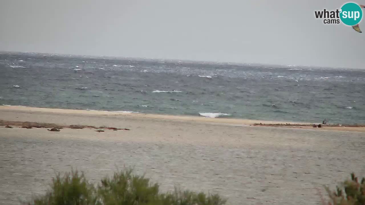 Webcam Chia – Live View of Su Giudeu Beach