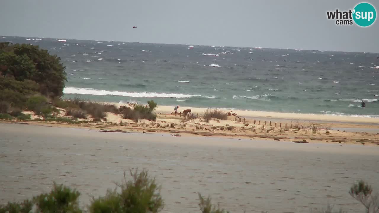 Webcam Chia – Live View of Su Giudeu Beach