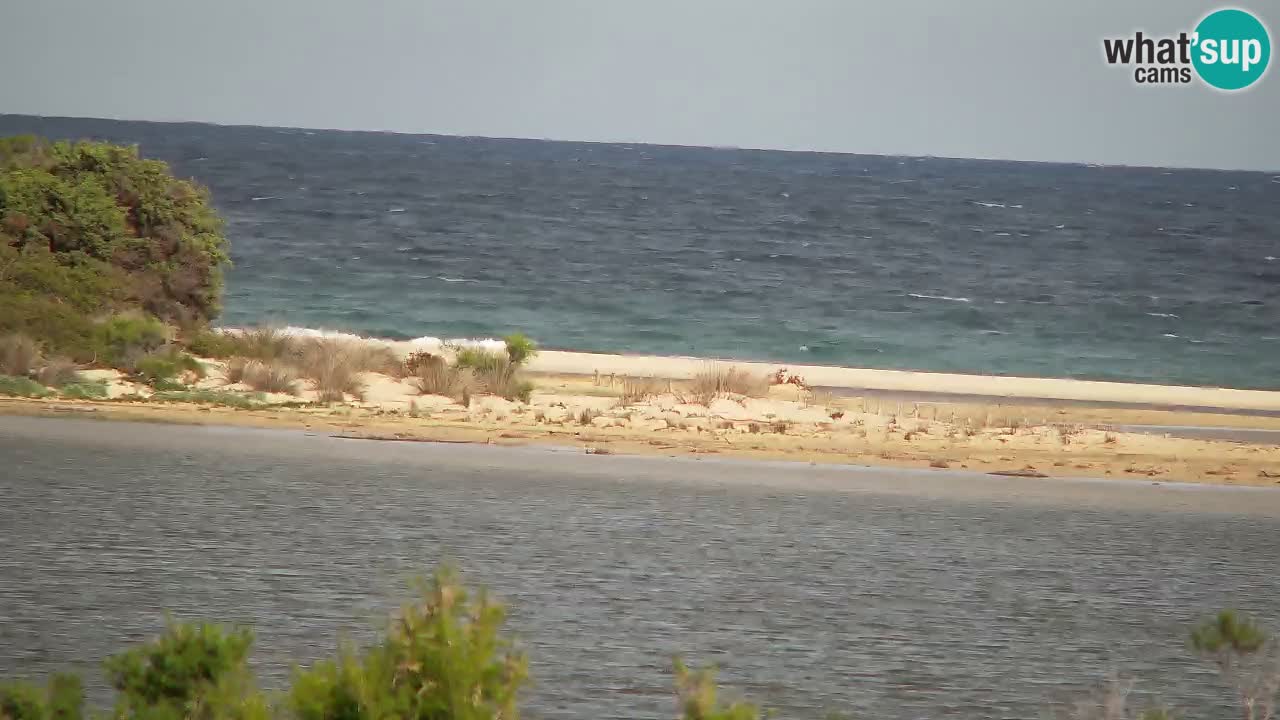Webcam Chia – Spiaggia Su Giudeu in diretta