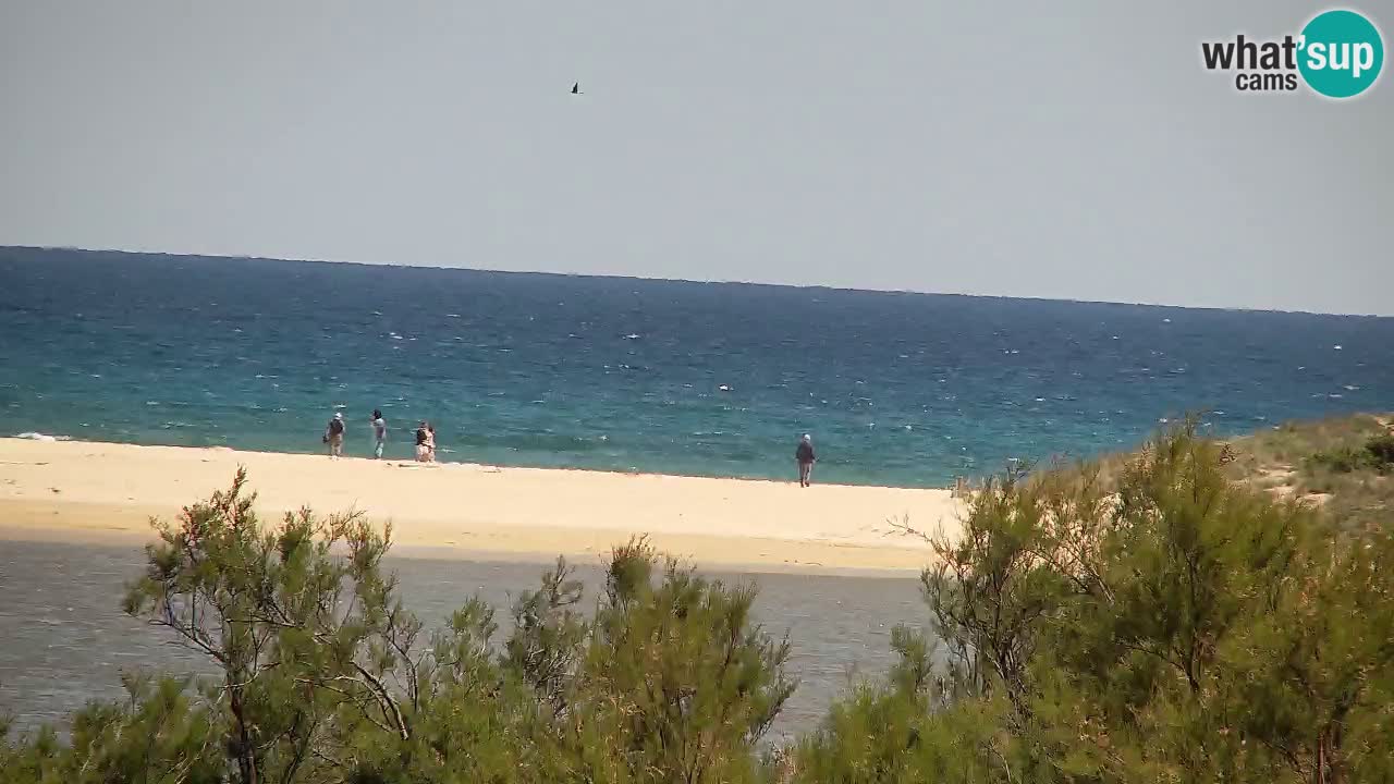 Webcam Chia – Live View of Su Giudeu Beach