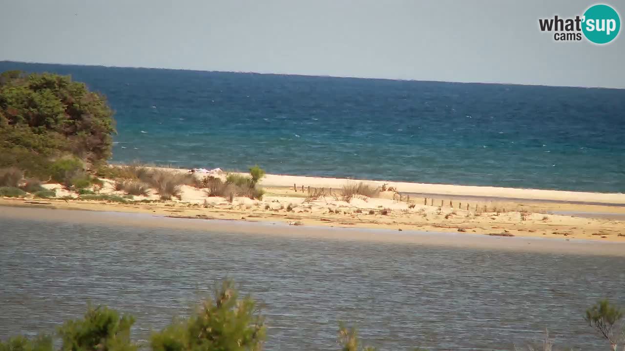 Webcam Chia – Live View of Su Giudeu Beach