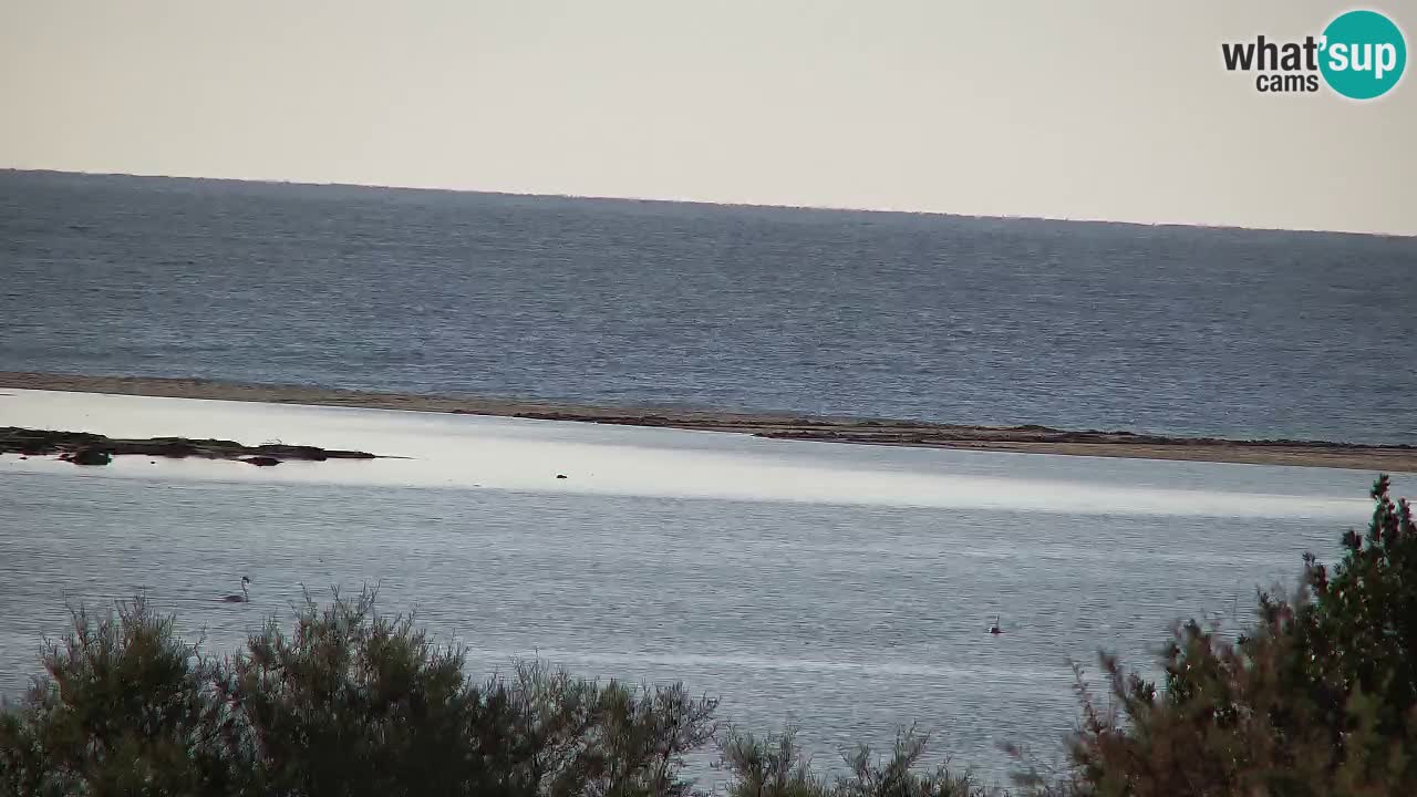 Webcam Chia – Liveblick auf den Strand Su Giudeu