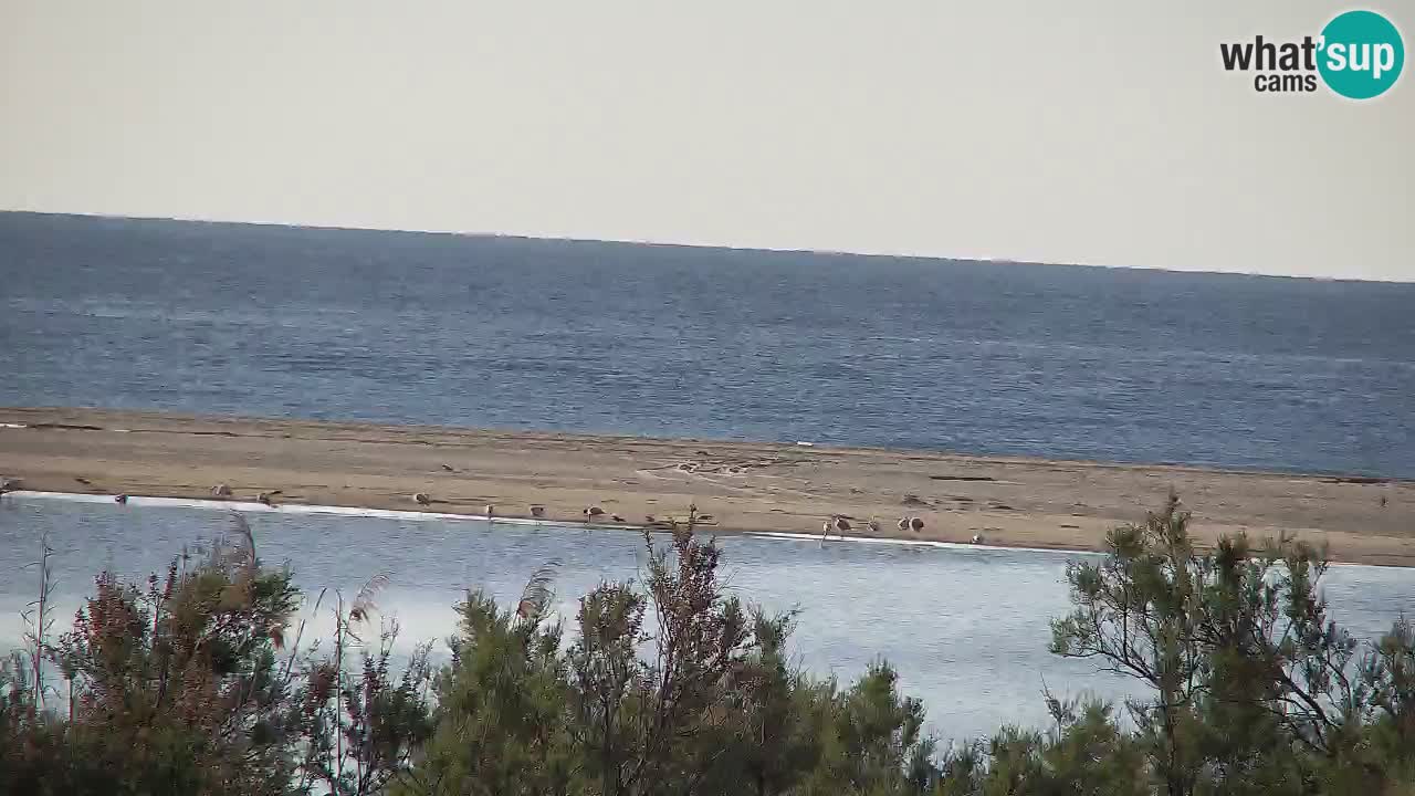 Webcam Chia – Liveblick auf den Strand Su Giudeu