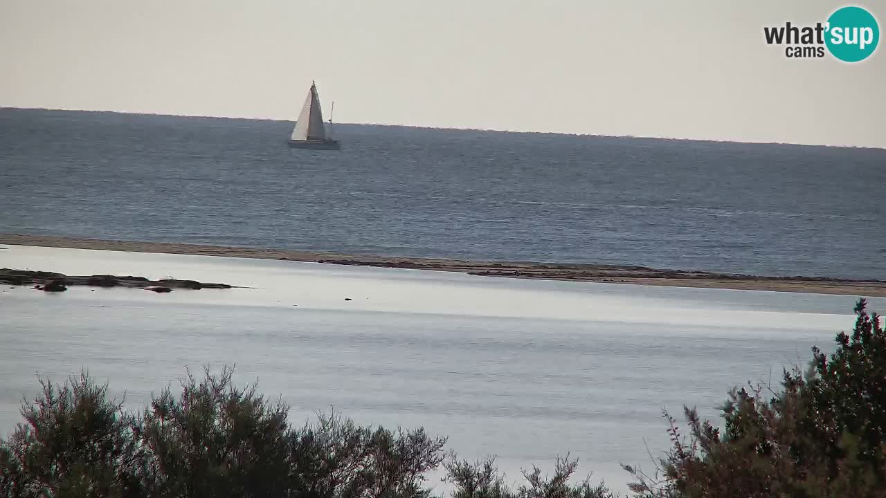 Webcam Chia – Live View of Su Giudeu Beach