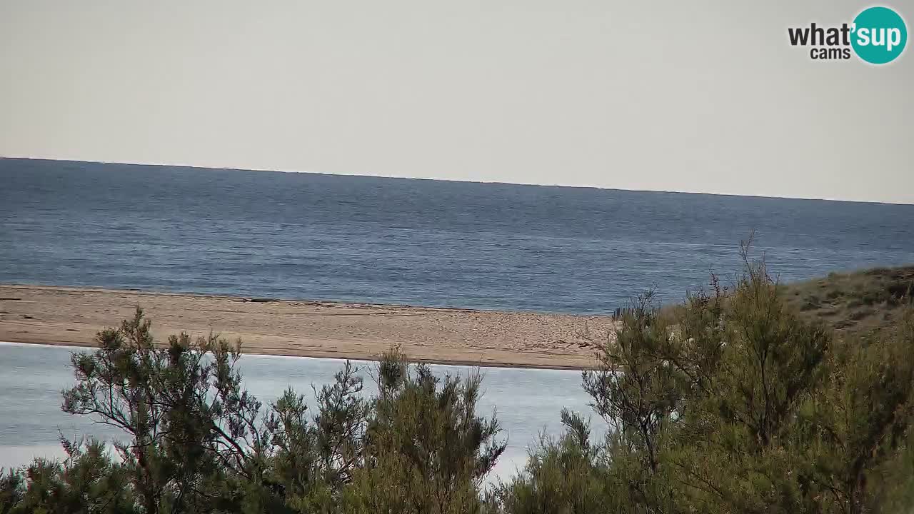 Webcam Chia – Live View of Su Giudeu Beach