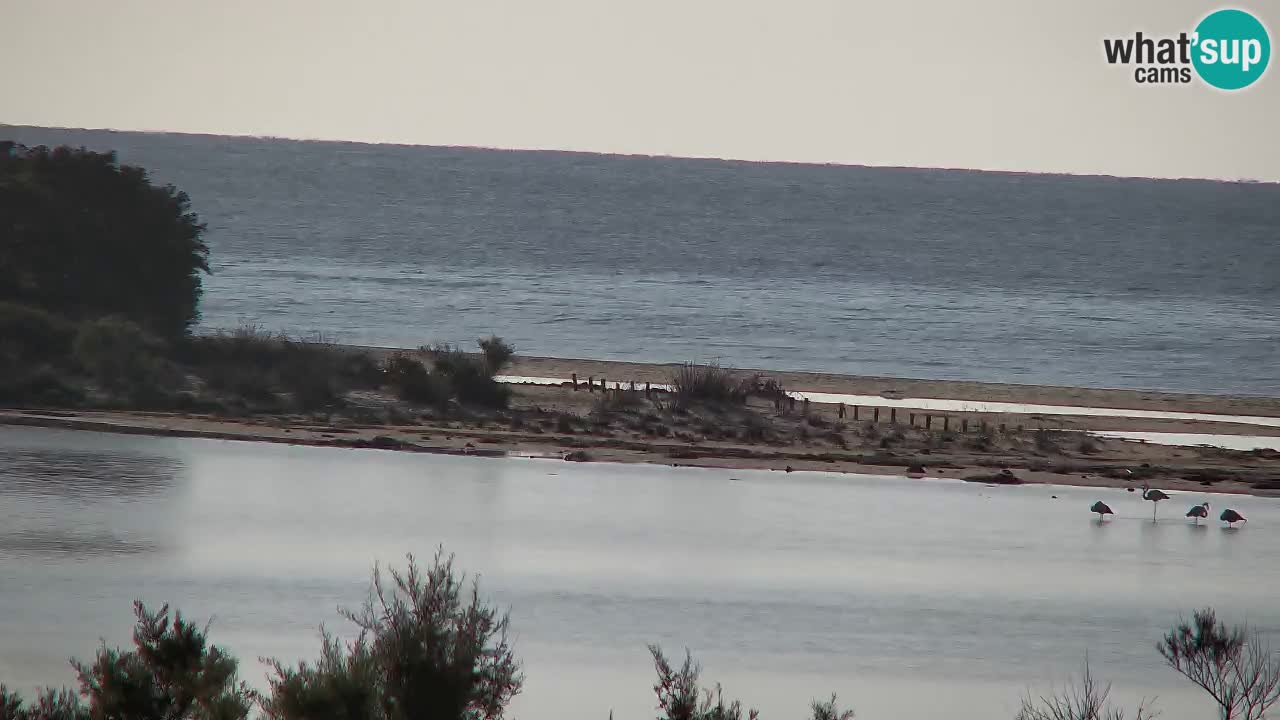 Webcam Chia – Live View of Su Giudeu Beach