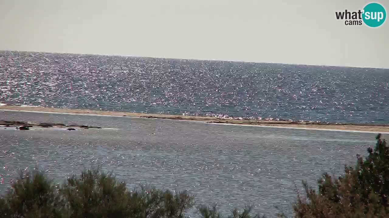 Web kamera Chia – Pogled uživo na plažu Su Giudeu