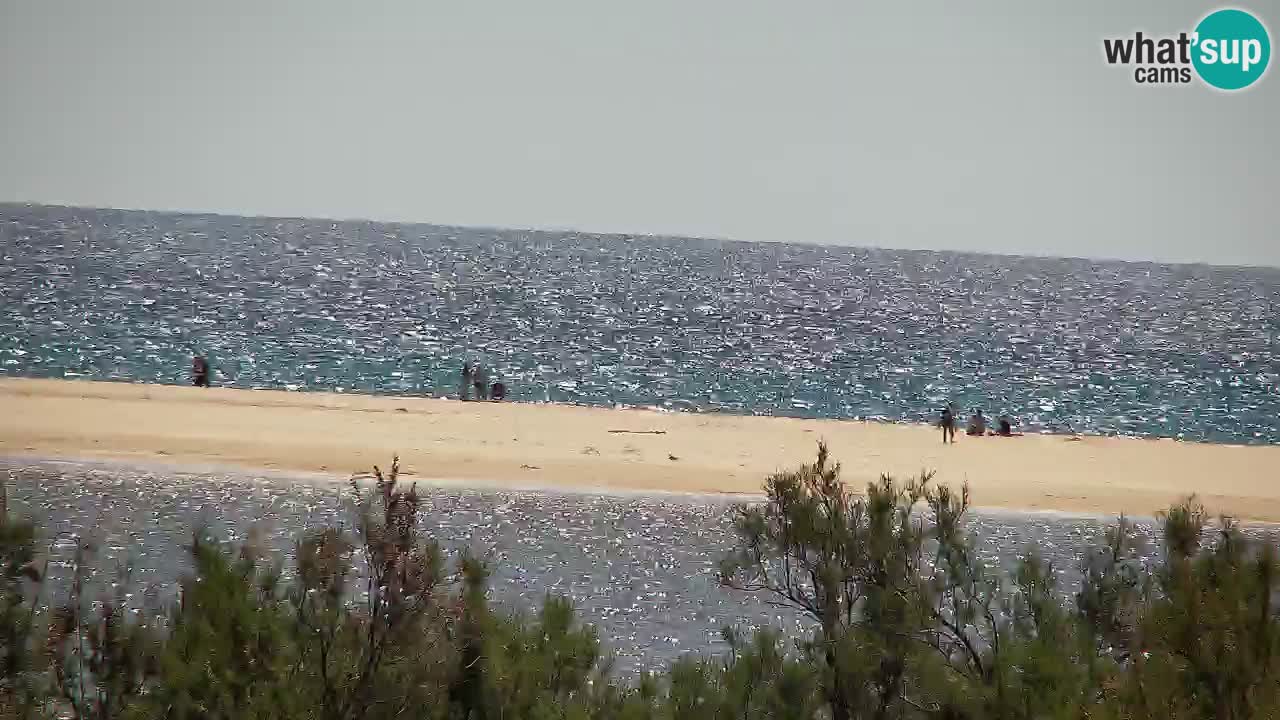 Webcam Chia – Live View of Su Giudeu Beach