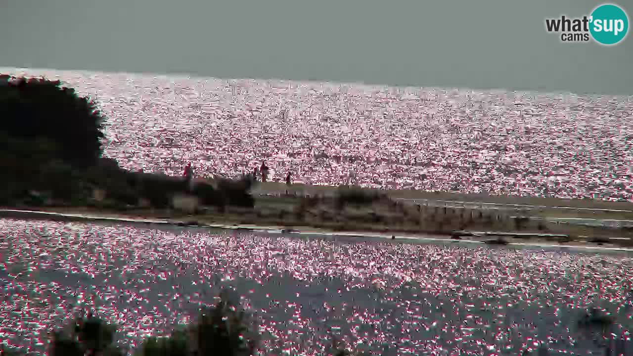 Webcam Chia – Vista en directo de la playa Su Giudeu