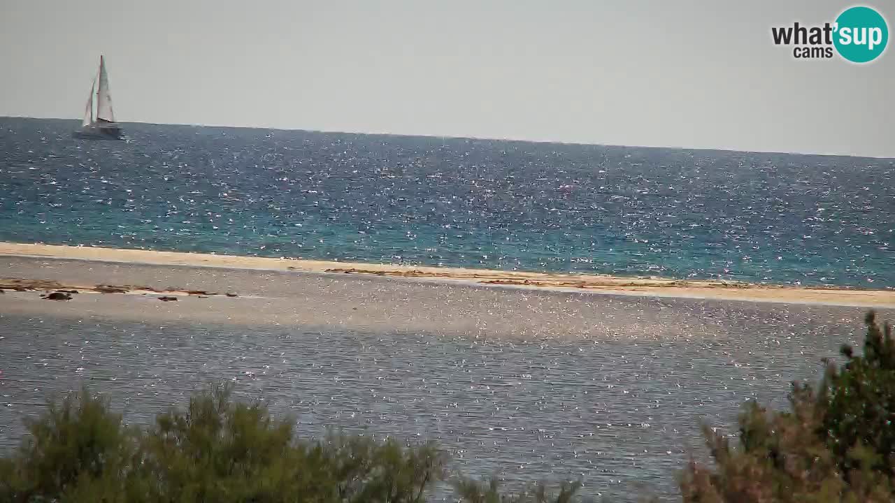 Webcam Chia – Vue en direct de la plage Su Giudeu