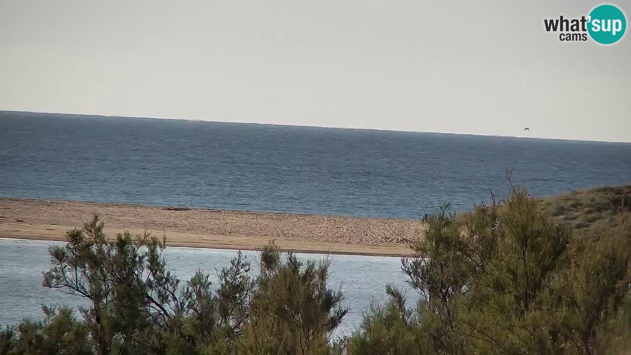 Webcam Chia – Live View of Su Giudeu Beach