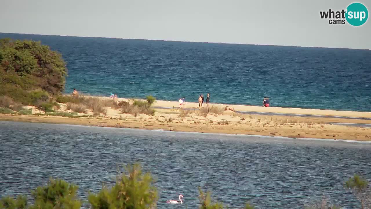 Webcam Chia – Live View of Su Giudeu Beach
