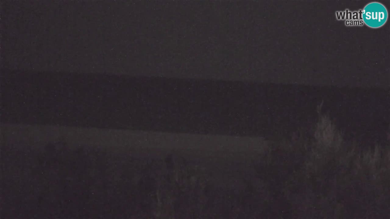 Webcam Chia – Vista en directo de la playa Su Giudeu