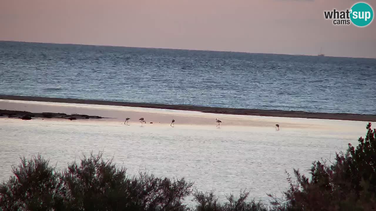 Webcam Chia – Live View of Su Giudeu Beach