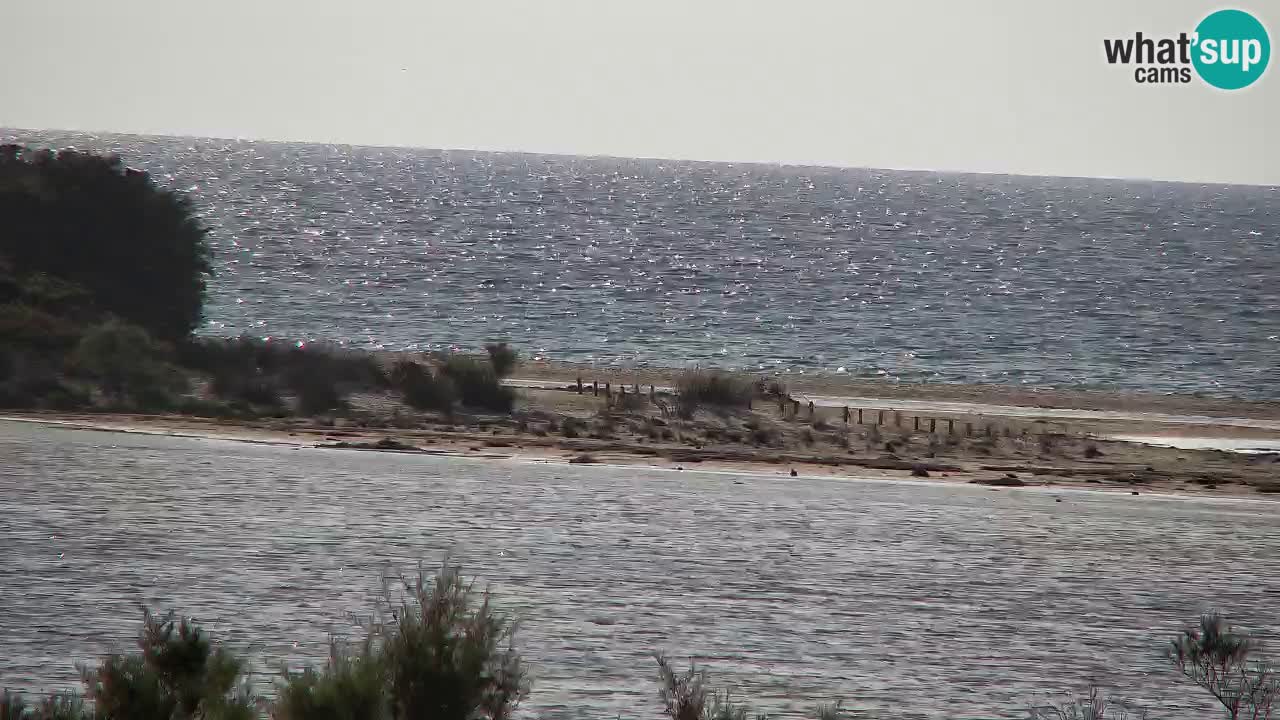 Webcam Chia – Live View of Su Giudeu Beach