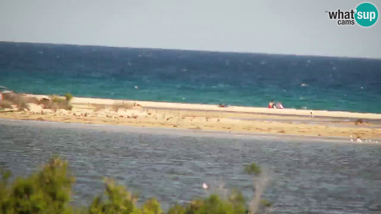 Webcam Chia – Live View of Su Giudeu Beach