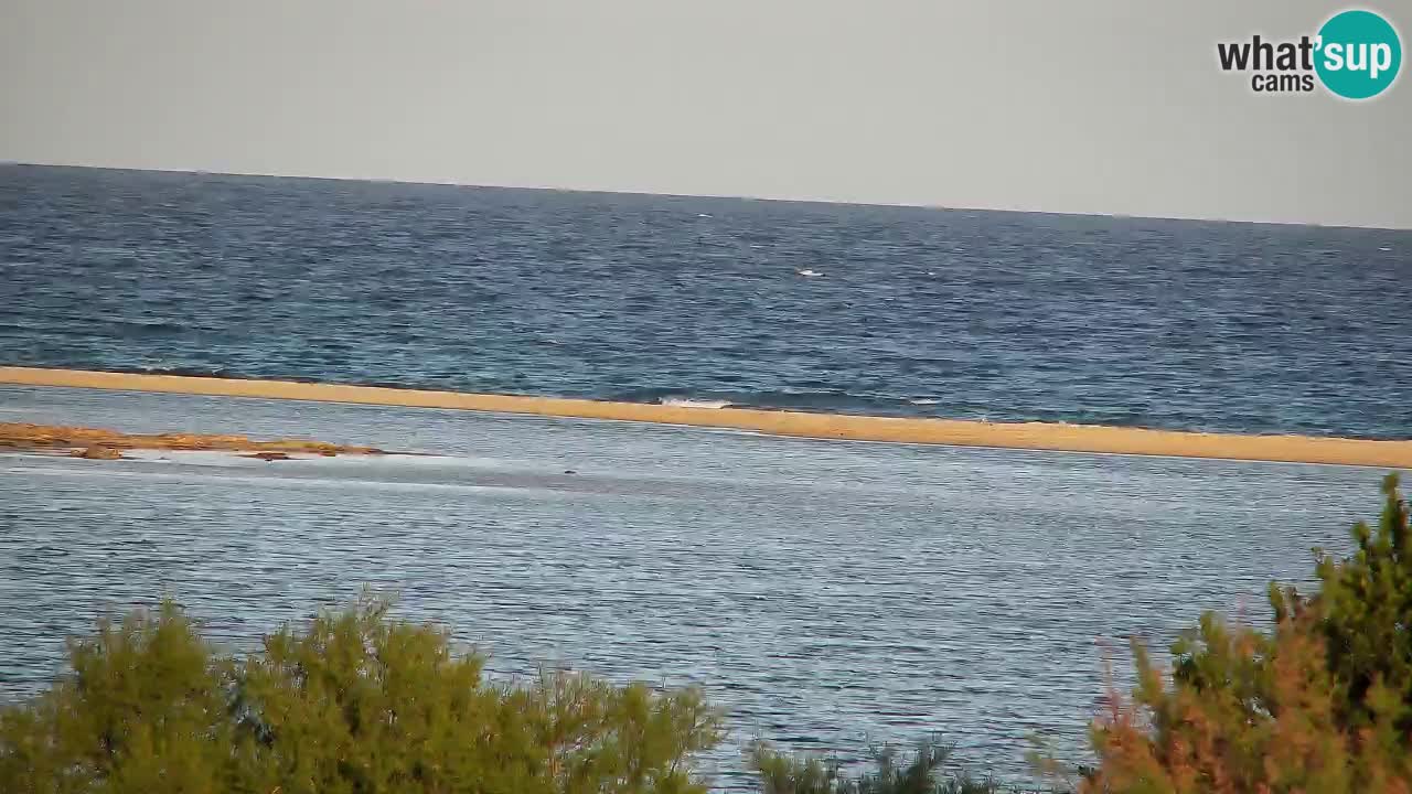 Webcam Chia – Vue en direct de la plage Su Giudeu