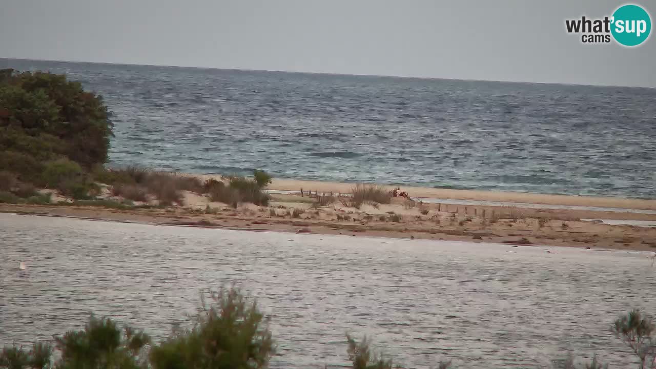 Spletna kamera Chia – Pogled v živo na plažo Su Giudeu