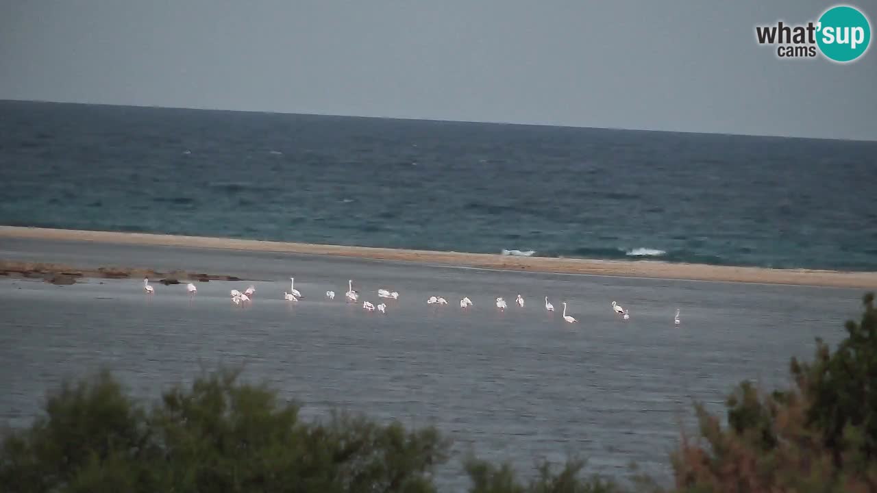 Webcam Chia – Liveblick auf den Strand Su Giudeu